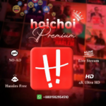 Hoichoi