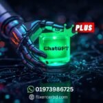 Chat GPT Plus